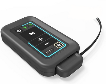 Əsas Səhifə - Prof. Dr. Ercan Gürses