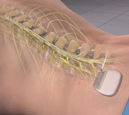 Əsas Səhifə - Prof. Dr. Ercan Gürses